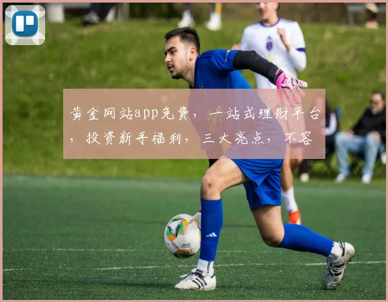 黄金网站app免费，一站式理财平台，投资新手福利，三大亮点，不容错过