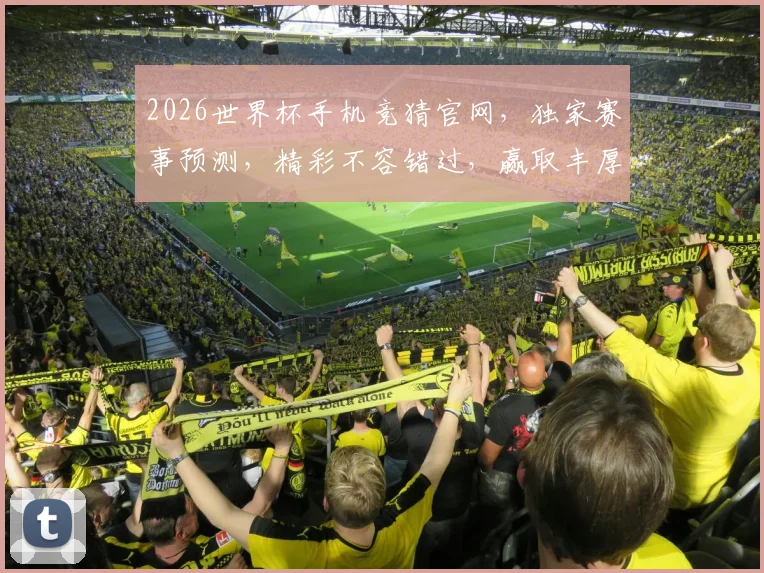 2026世界杯手机竞猜官网，独家赛事预测，精彩不容错过，赢取丰厚奖品