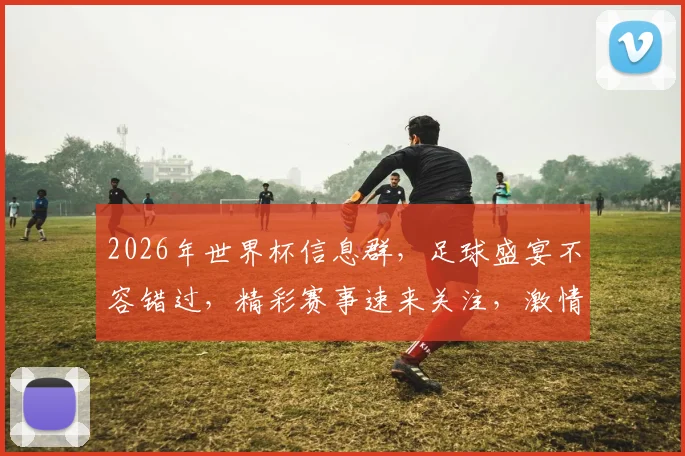 2026年世界杯信息群，足球盛宴不容错过，精彩赛事速来关注，激情共享