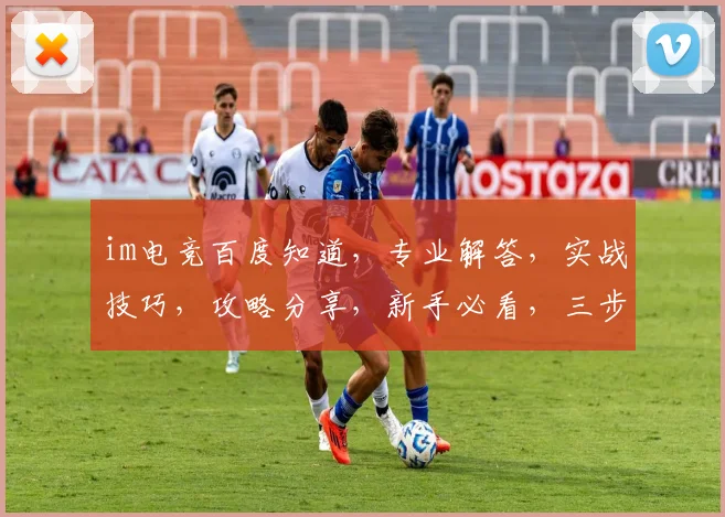 im电竞百度知道，专业解答，实战技巧，攻略分享，新手必看，三步入门