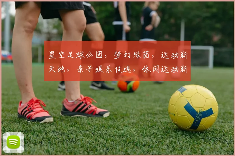 星空足球公园，梦幻绿茵，运动新天地，亲子娱乐佳选，休闲运动新潮流，体验非凡乐趣。