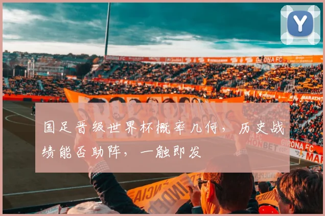 国足晋级世界杯概率几何，历史战绩能否助阵，一触即发