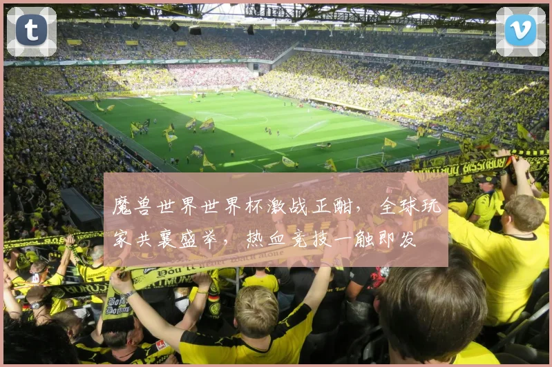 魔兽世界世界杯激战正酣，全球玩家共襄盛举，热血竞技一触即发